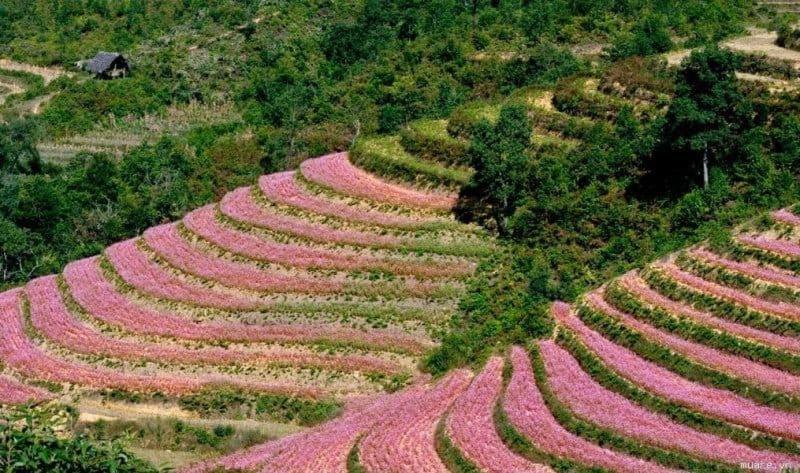 فندق Nha Nghi T&T دونغ فان المظهر الخارجي الصورة