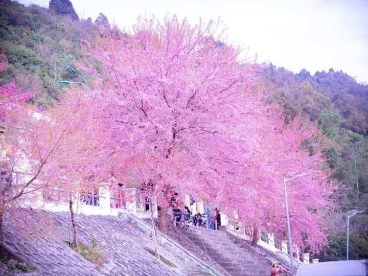 فندق Nha Nghi T&T دونغ فان المظهر الخارجي الصورة