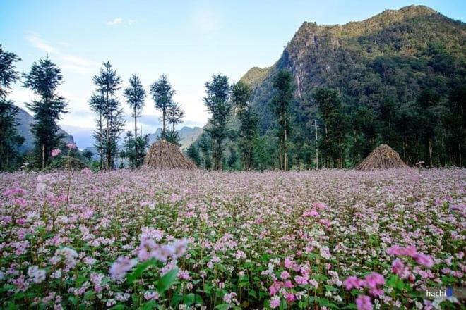فندق Nha Nghi T&T دونغ فان المظهر الخارجي الصورة
