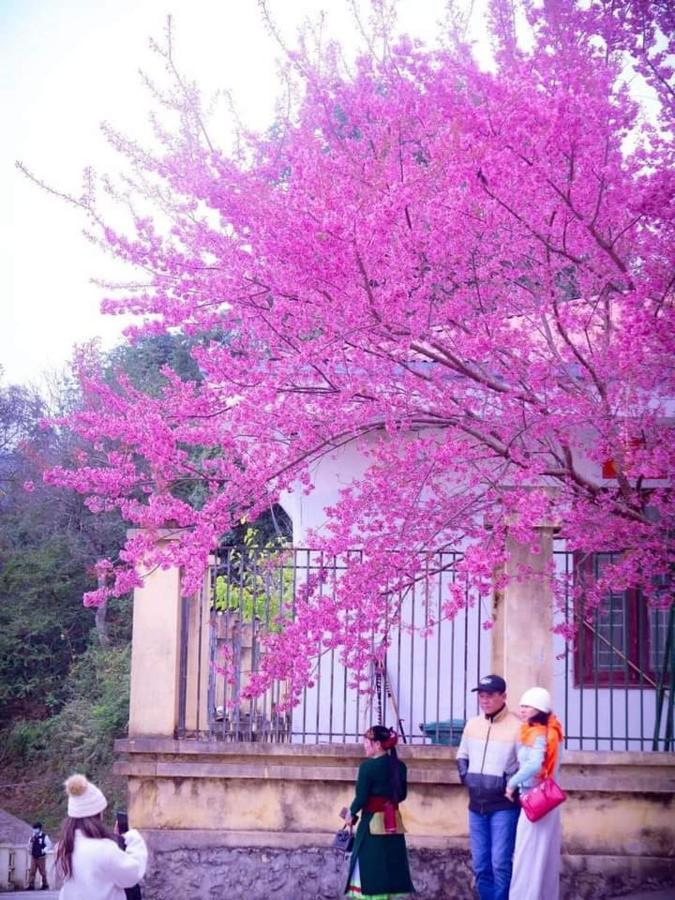 فندق Nha Nghi T&T دونغ فان المظهر الخارجي الصورة