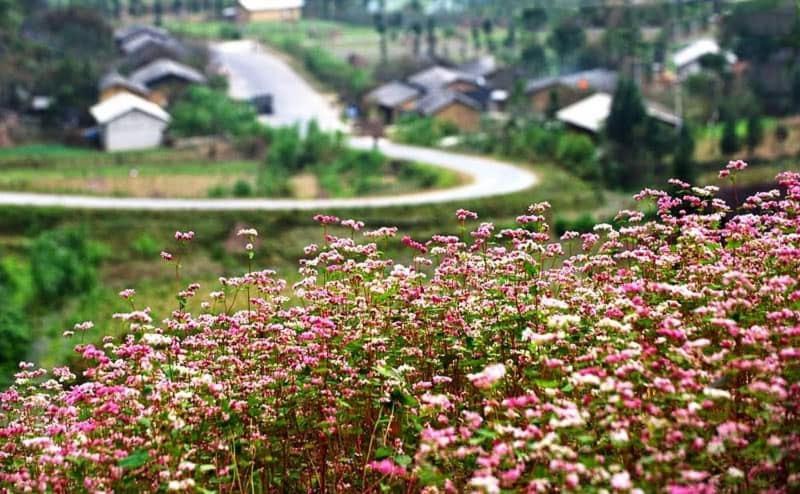 فندق Nha Nghi T&T دونغ فان المظهر الخارجي الصورة