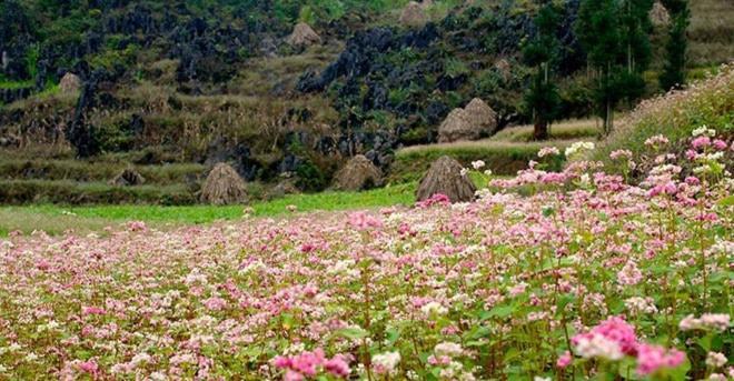 فندق Nha Nghi T&T دونغ فان المظهر الخارجي الصورة