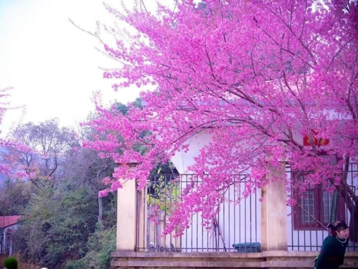 فندق Nha Nghi T&T دونغ فان المظهر الخارجي الصورة